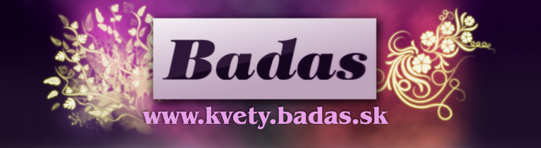 Kvetin�rstvo Badas, Ru�omberok